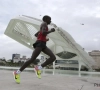 Eliud Kipchoge veut entrer dans l'histoire du marathon