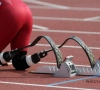 Deux nouvelles médailles pour la Belgique à l'Euro de para-athlétisme