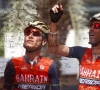 Vincenzo Nibali sera présent sur les routes du Tour des Flandres