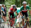 Un des animateurs du Tour 2017 ne prendra pas le départ de la Grande Boucle