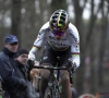 Van Aert vainqueur au Waaslandcross