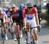 🎥 La surprenante chute de Mathieu Van Der Poel
