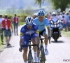 L'oreillette a-t-elle précipité la défaite d'Alaphilippe? 