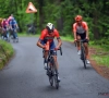 L'étape pour Nibali, le Tour pour Bernal, Alaphilippe glisse à la cinquième place du général