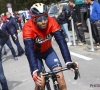 Vincenzo Nibali a pris sa décision pour le Tour de France