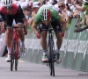 Le sourire retrouvé d'Elia Viviani: "Probablement la dernière avec ce maillot"
