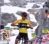 Tour de Suisse: victoire d'Egan Bernal devant Pozzovivo, TIesj Benoot toujours bien là