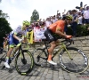 Tour de France: Greg Van Avermaet revientn sur son maillot à pois