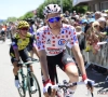 Maillot jaune, maillot à pois et favoris: les enjeux de la sixième du Tour 