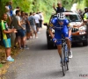 Le tandem Alaphilippe-Evenepoel réuni sur la Clasica San Sebastian