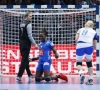 La France est championne d'Europe de handball féminin
