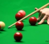 Snooker: Marteel, l'arbitre belge