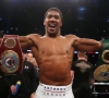 "Joshua vs Wilder, le seul combat à faire après"