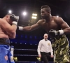 Le Belge Yves Ngabu remettra son titre européen (EBU) en jeu le 16 février prochain