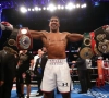Un combat Joshua-Wilder, enfin? Eddie Hearn annonce une ouverture