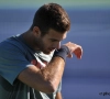 Del Potro confirme la mauvaise nouvelle
