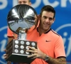 Del Potro sera bien présent à Roland Garros