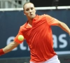 Tennis: Darcis et l'avant Top 100