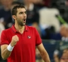 Cilic croit à la victoire