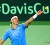 Tennis : Del Potro bosse dur