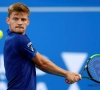 Australian Open: Goffin qualifié pour les huitièmes de finale