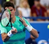 Tennis: Raonic se méfie de Goffin