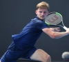 Pas de Coupe Davis pour Goffin
