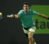 Tennis: Del Potro comme à la maison