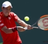 ATP Madrid: Nishikori passe, Del Potro prend la porte