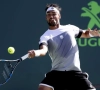 Une finale Fognini-Jarry à Sao Paulo