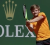 Tennis: Goffin en 1/8e à Rome