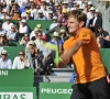 Tennis: Goffin se confie