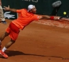 Darcis pour un exploit à Wimbledon ?