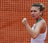 Tennis: Halep et le challenge de N°1