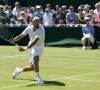 Wimbledon: Bemelmans s'offre le scalp de Haas