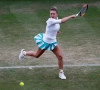 La chaleur arrête Halep à Washington