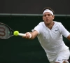 Juan-Martin Del Potro laisse un set en route