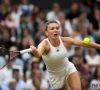 Halep : "Un de mes meilleurs matchs de la saison"