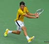 Thiem : "J'ai bien joué"
