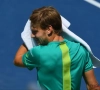 David Goffin: "J'ai encore des douleurs"