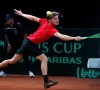 Goffin: "J'espère que Noah n'est pas trop déçu"