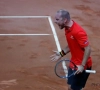 Mahut encense Darcis
