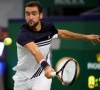 Cilic se sépare de son coach