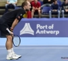 Classement ATP : Steve Darcis fait une rentrée fracassante