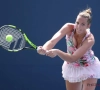 Pliskova sans problème 
