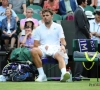 Wawrinka: "Est-ce que l'exemple Nadal peut m'aider ? Non"