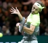 Ruben Bemelmans déçoit au tournoi de Halle