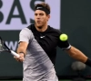 Del Potro et Dimitrov ont souffert
