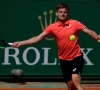 Toujours en deux temps, David Goffin se hisse en quarts de finale à Barcelone