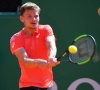 Classement ATP : Goffin se maintient, De Greef fait un spectaculaire bond en avant